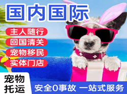 富蕴可可托海机场空运国际宠物托运 【国